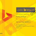 Microsoft Bing Ads Professional